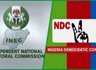 We Did Not Submit The Names INEC Published – NDC Insists