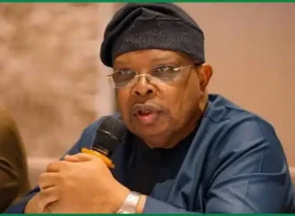 I Was Asked To Slow Down – Power Minister Reveals Nigerians’ Response To Improved Electricity