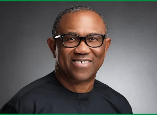 Letter Shows Police Were Notified Ahead Of Peter Obi’s Benue Visit — NDC