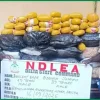 NDLEA Intercepts ₦3.4 Billion Drugs, Arrests Fake Police Officer