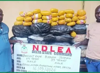NDLEA Intercepts ₦3.4 Billion Drugs, Arrests Fake Police Officer