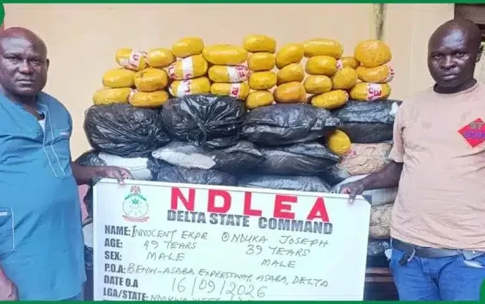 NDLEA Intercepts ₦3.4 Billion Drugs, Arrests Fake Police Officer