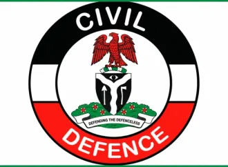 Niger Miners’ Deaths: Suspended NSCDC Commandant, 21 Officers Detained