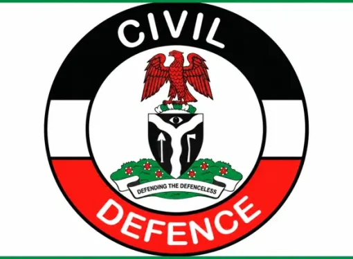 Niger Miners’ Deaths: Suspended NSCDC Commandant, 21 Officers Detained