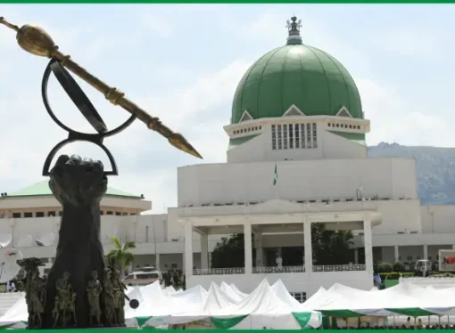 Xenophobia: Senate, Reps Suspend South Africa Visits Until Further Notice