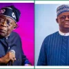 US Firm Announces $36 Million Lawsuit Against Tinubu, Fani-Kayode