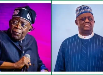US Firm Announces $36 Million Lawsuit Against Tinubu, Fani-Kayode