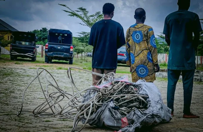 Osun NSCDC Arrests Father, Son, Another Man Over Alleged Cable Theft