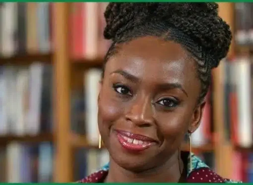 Chimamanda Adichie: ‘My Feelings Toward Nigeria Have Changed, I Do Not Want To Go Back’