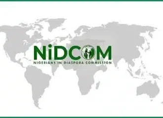 NIDCOM Speaks On Nigerians In Indian Prisons, Reveals FG’s Next Move