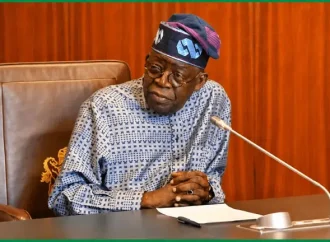 Tinubu Not Facing Criminal Case In The U.S Over FOIA Records – Presidency