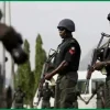 Ondo Assembly Endorses Constitutional Amendment For State Police