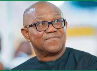 There’s No Evidence I Won 2023 Presidential Election – Peter Obi