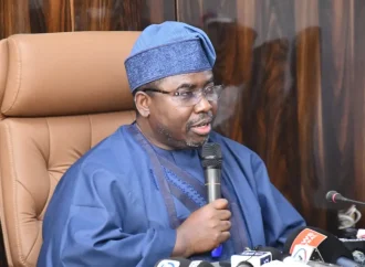 2027: Middle-Aged Voters Dominate Nigeria’s 103m Voter Register — INEC