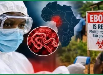 Ebola: FG Projects December 7 Date To Declare Nigeria Outbreak-Free