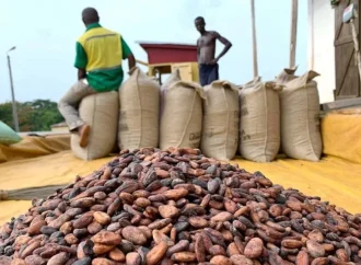 Nigeria’s Cocoa Exports To US Surge To $142m In 2025