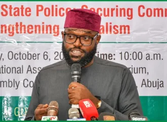 Four States Back State Police Constitutional Amendment – Tinubu Aide