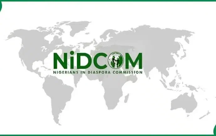 NiDCOM: Diaspora Remittances Near $1 Billion Monthly As Nigerians Abroad Boost Economy