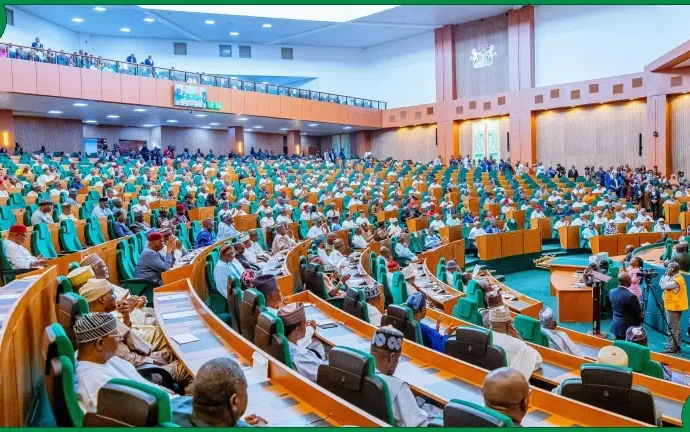 ₦802 Billion Audit: Reps Summon NNPCL, INEC, Other Govt Officials